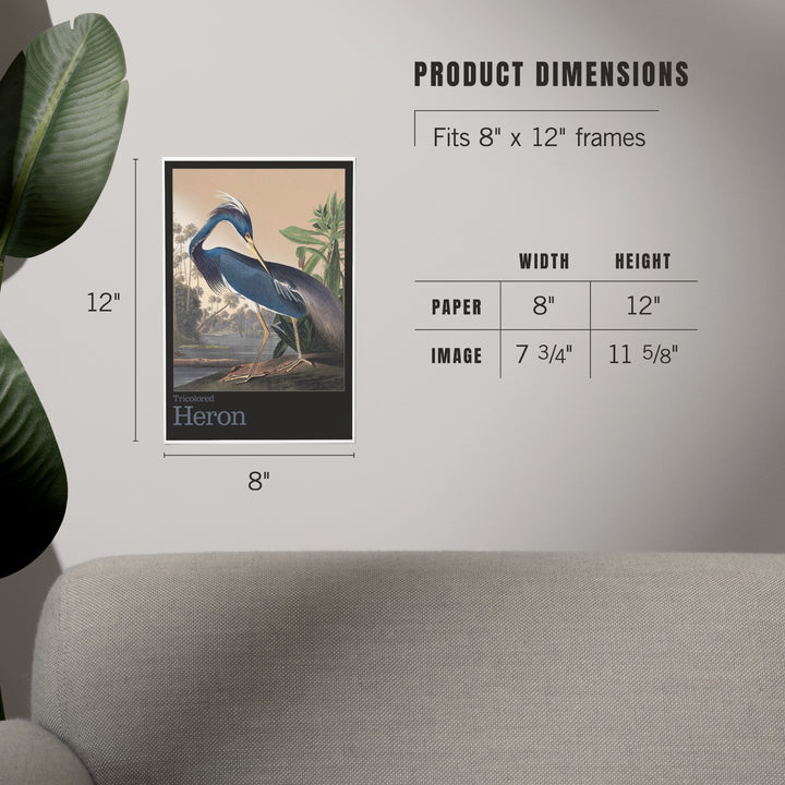 Audubon Birds of North America, Heron, Art & Giclee Prints