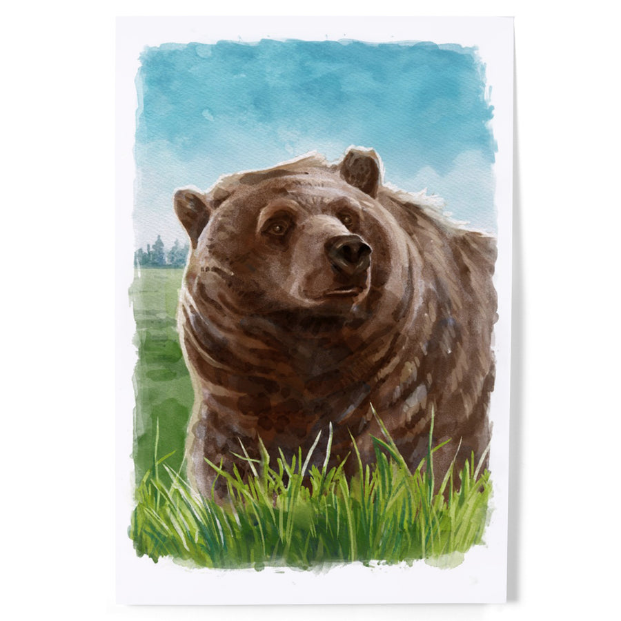 Watercolor Study, Grizzly Bear art prints, metal signs