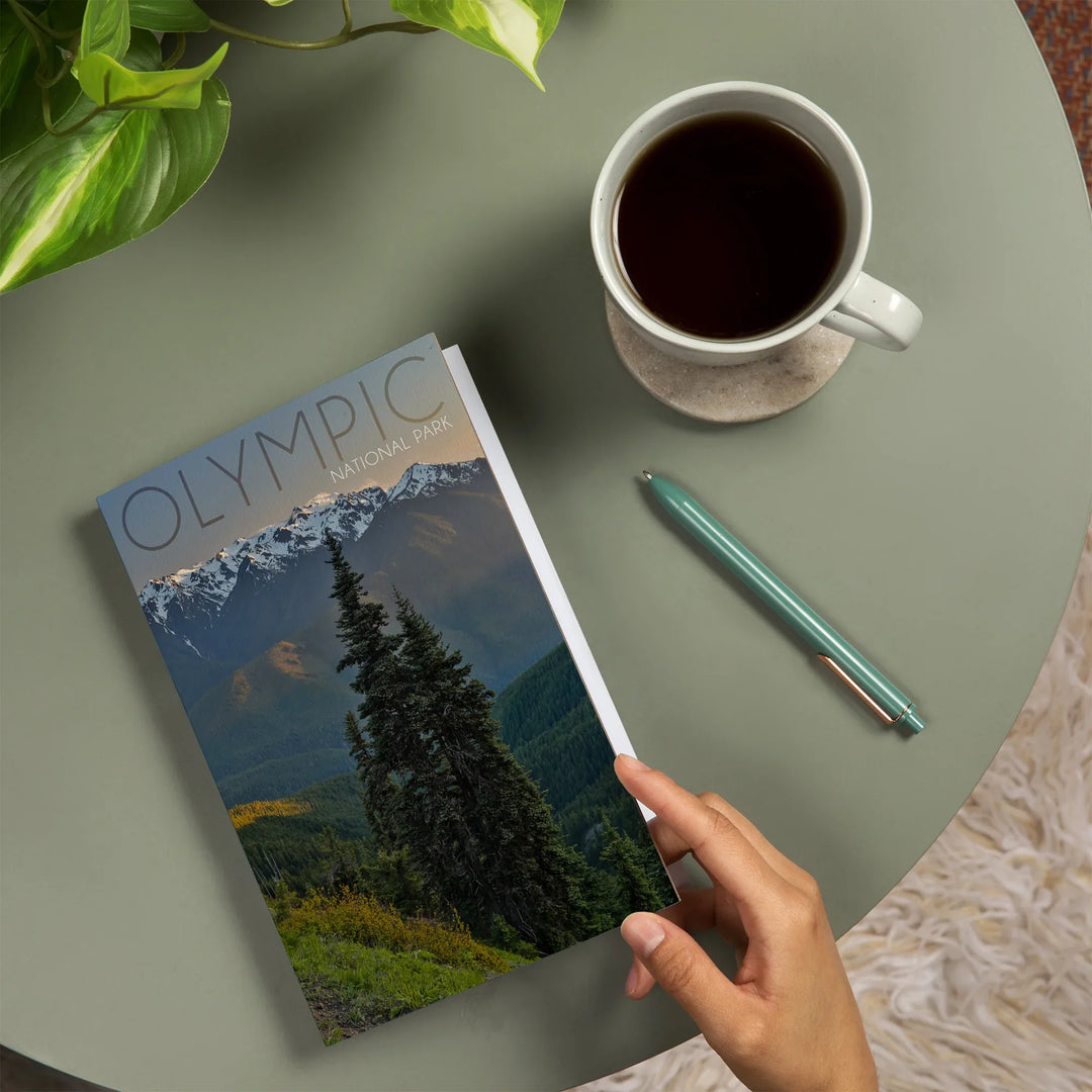 Lined 6x9 Journal, Olympic National Park, Washington, Hurricane Ridge, Lay Flat, 193 Pages, FSC paper