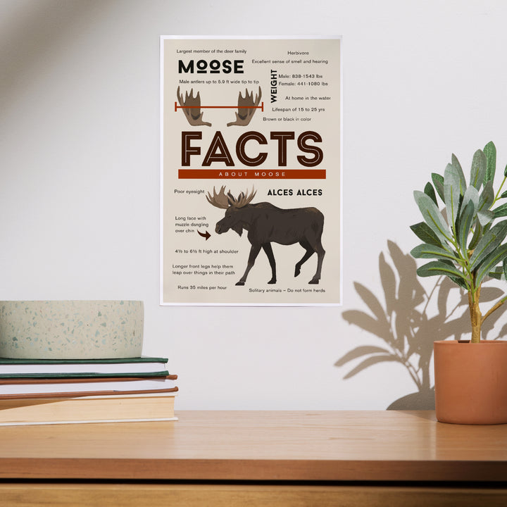 Facts About Moose, Art & Giclee Prints