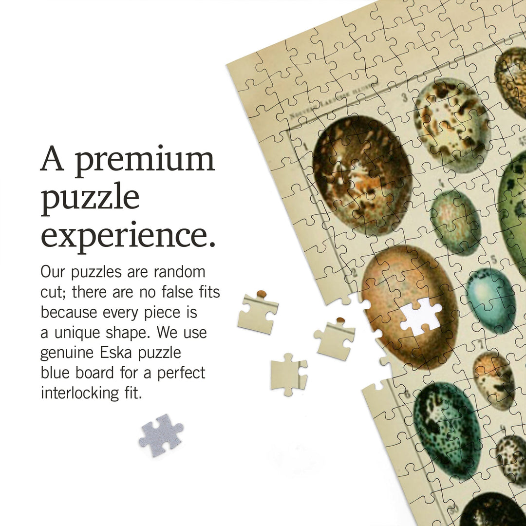 Eggs, Vintage Bookplate, Adolphe Millot Artwork, Jigsaw Puzzle Puzzle Lantern Press 