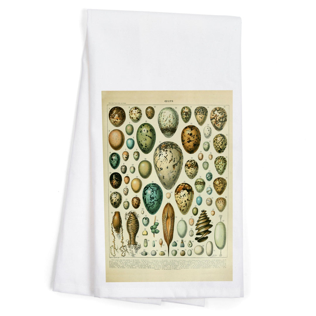 Eggs, Vintage Bookplate, Adolphe Millot Artwork, Organic Cotton Kitchen Tea Towels Kitchen Lantern Press 