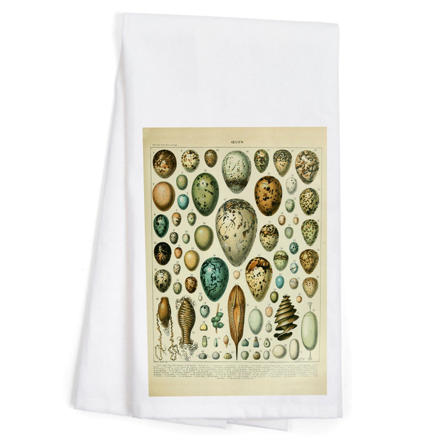 Eggs, Vintage Bookplate, Adolphe Millot Artwork, Organic Cotton Kitchen Tea Towels Kitchen Lantern Press 