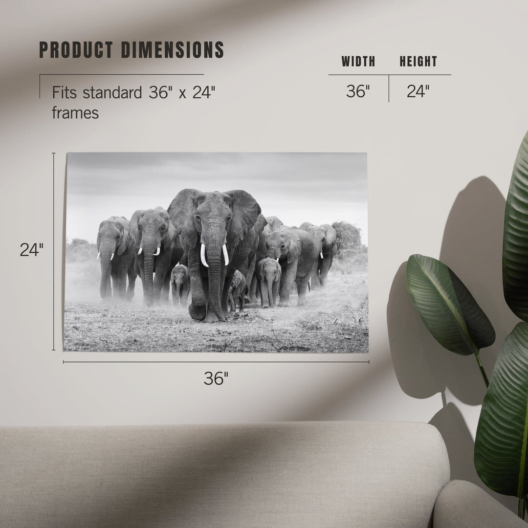 Elephant Herd, Art & Giclee Prints Art Lantern Press 