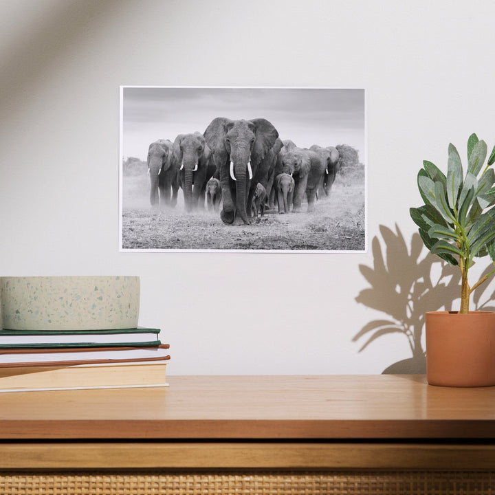 Elephant Herd, Art & Giclee Prints Art Lantern Press 