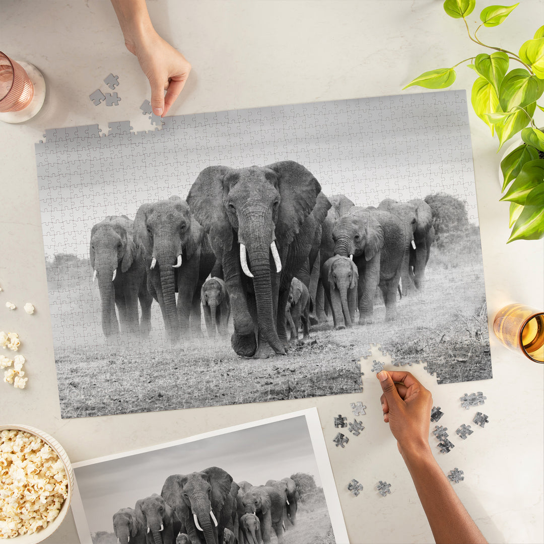 Elephant Herd, Jigsaw Puzzle Puzzle Lantern Press 