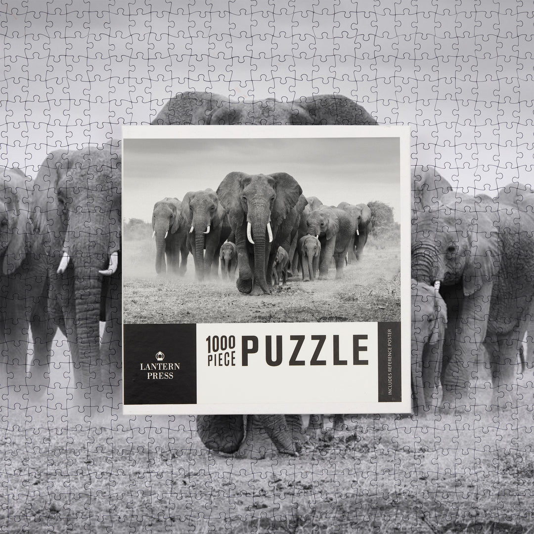 Elephant Herd, Jigsaw Puzzle Puzzle Lantern Press 