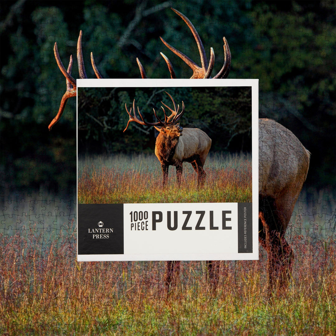 Elk Calling, Jigsaw Puzzle Puzzle Lantern Press 