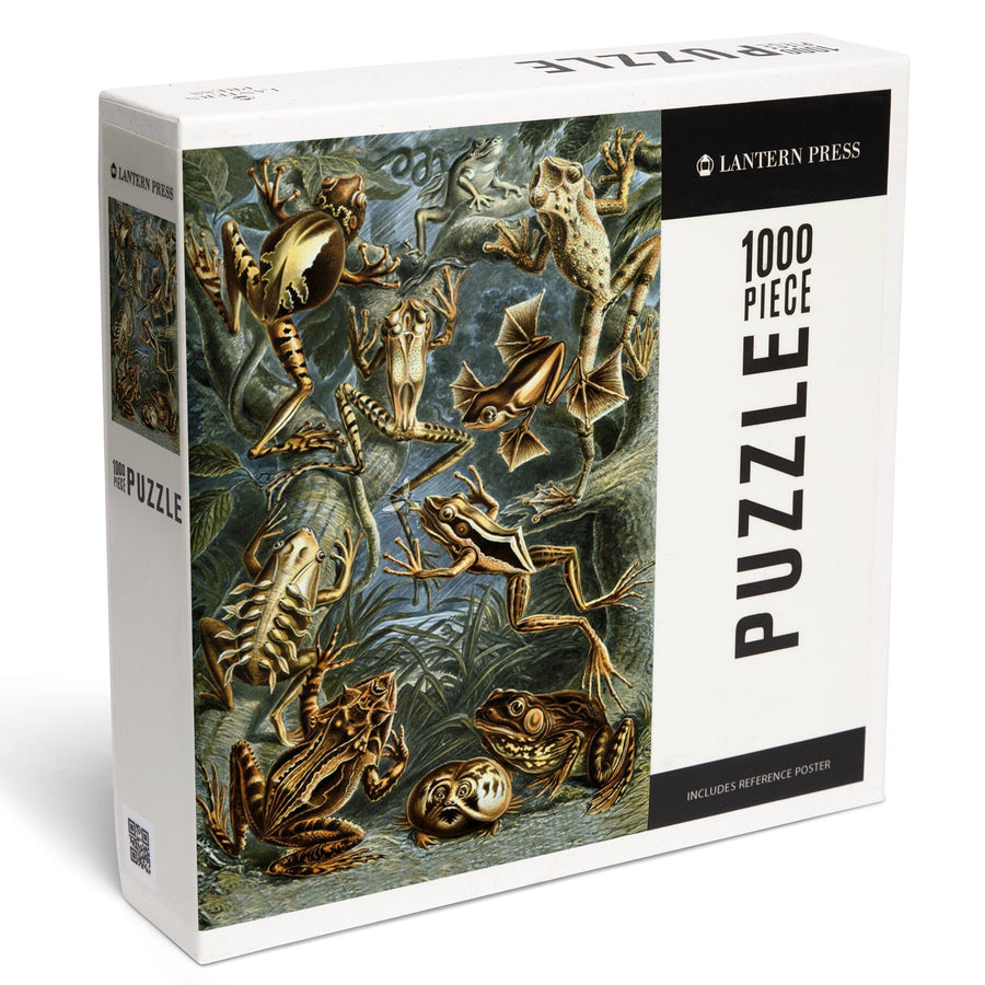 Ernst Haeckel, Batrachia, Jigsaw Puzzle Puzzle Lantern Press 