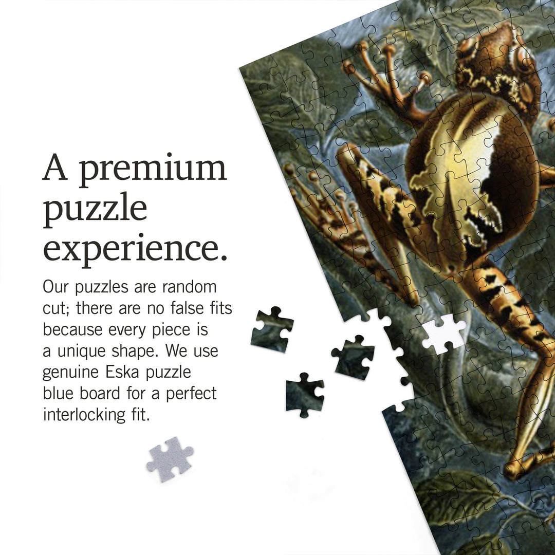 Ernst Haeckel, Batrachia, Jigsaw Puzzle Puzzle Lantern Press 