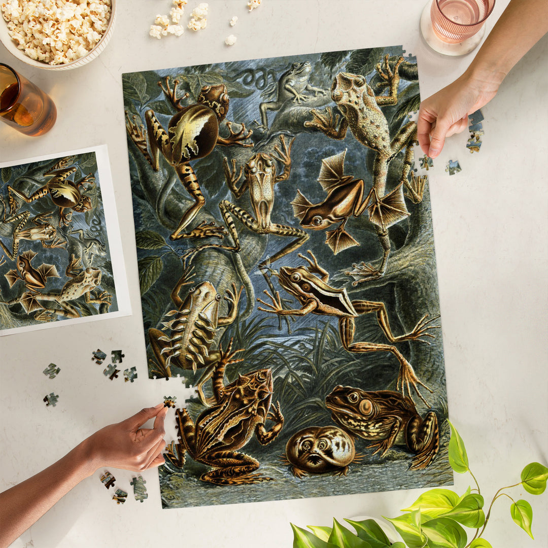 Ernst Haeckel, Batrachia, Jigsaw Puzzle Puzzle Lantern Press 