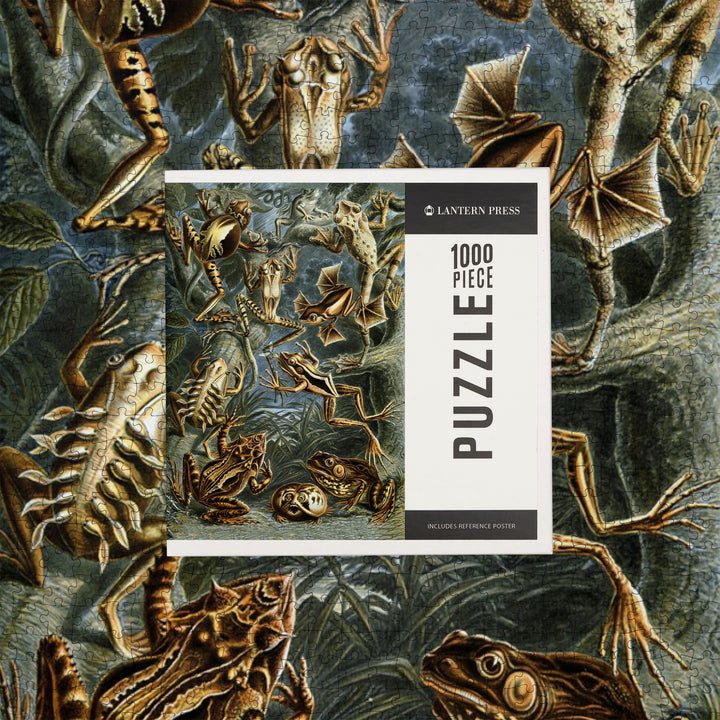 Ernst Haeckel, Batrachia, Jigsaw Puzzle Puzzle Lantern Press 