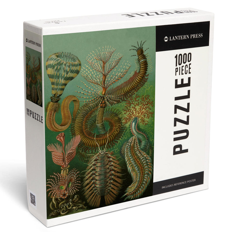 Ernst Haeckel, Chaetopoda, Jigsaw Puzzle Puzzle Lantern Press 