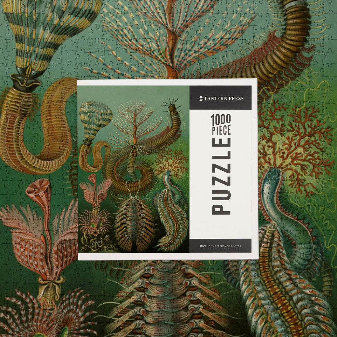 Ernst Haeckel, Chaetopoda, Jigsaw Puzzle Puzzle Lantern Press 