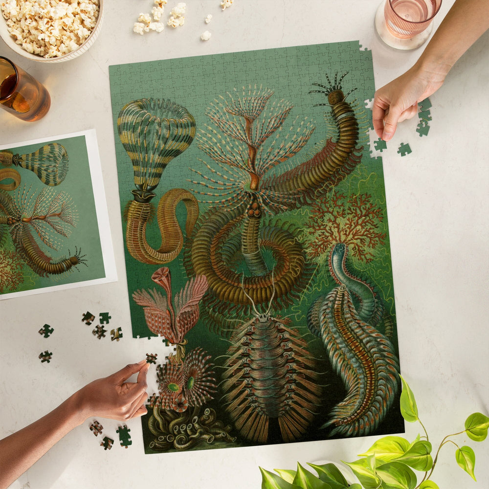 Ernst Haeckel, Chaetopoda, Jigsaw Puzzle Puzzle Lantern Press 