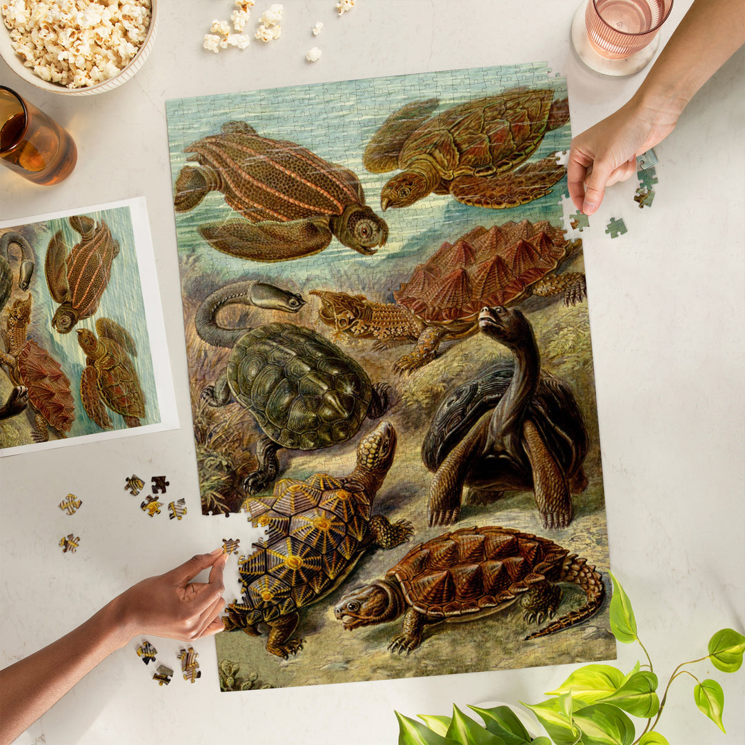 Ernst Haeckel, Chelonia, Jigsaw Puzzle Puzzle Lantern Press 