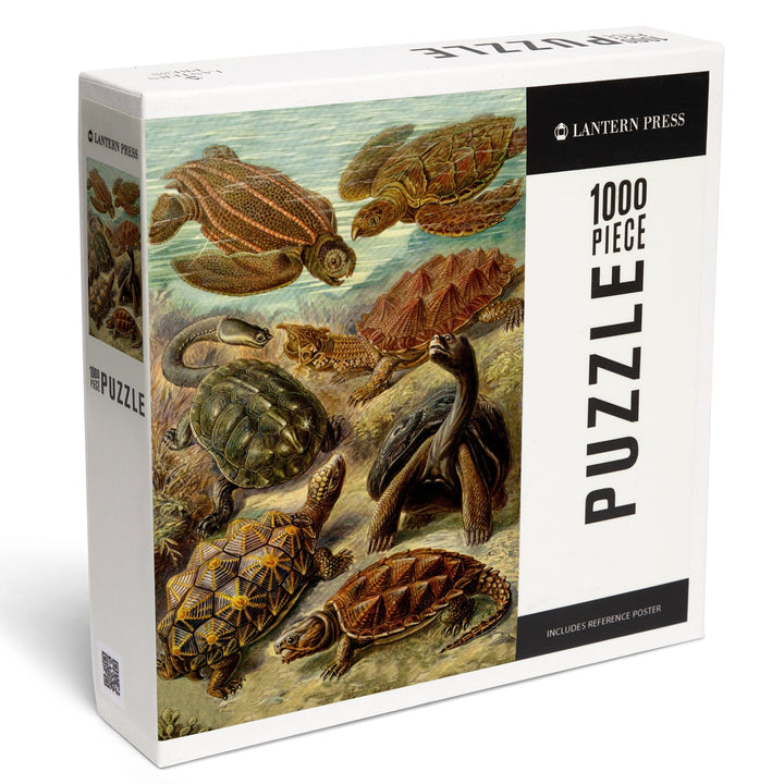 Ernst Haeckel, Chelonia, Jigsaw Puzzle Puzzle Lantern Press 
