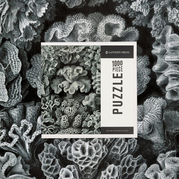Ernst Haeckel, Hexacoralla, Jigsaw Puzzle Puzzle Lantern Press 