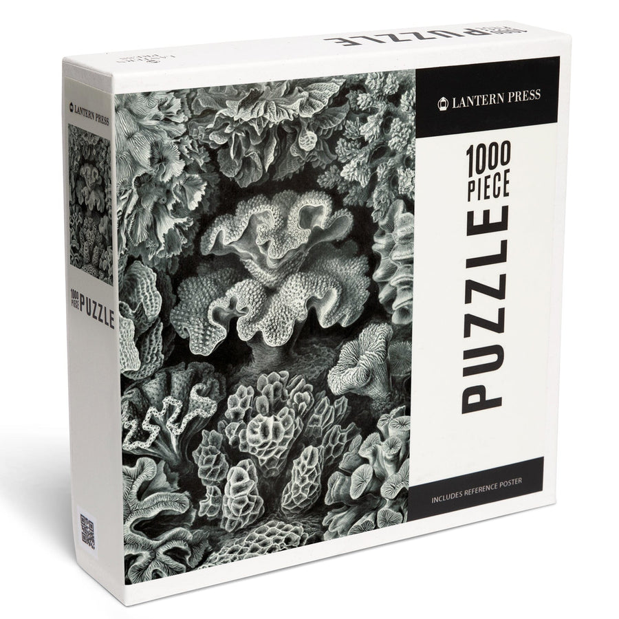 Ernst Haeckel, Hexacoralla, Jigsaw Puzzle Puzzle Lantern Press 