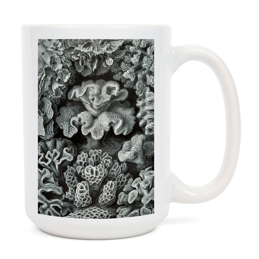 Ernst Haeckel, Hexacoralla, Lantern Press Artwork, Ceramic Mug Mugs Lantern Press 
