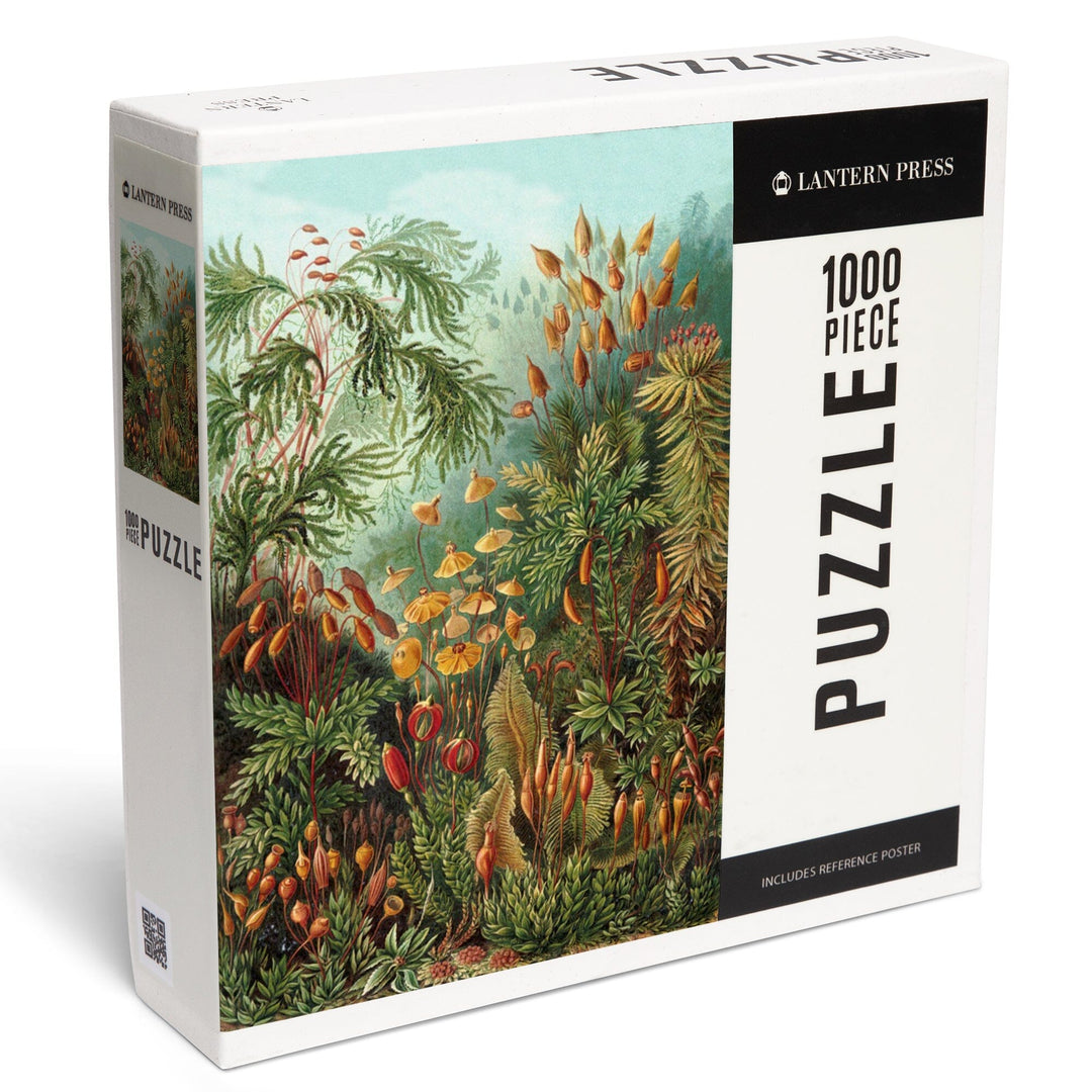 Ernst Haeckel, Muscinae, Jigsaw Puzzle Puzzle Lantern Press 