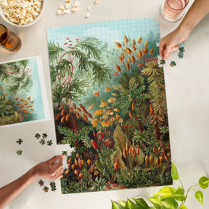 Ernst Haeckel, Muscinae, Jigsaw Puzzle Puzzle Lantern Press 