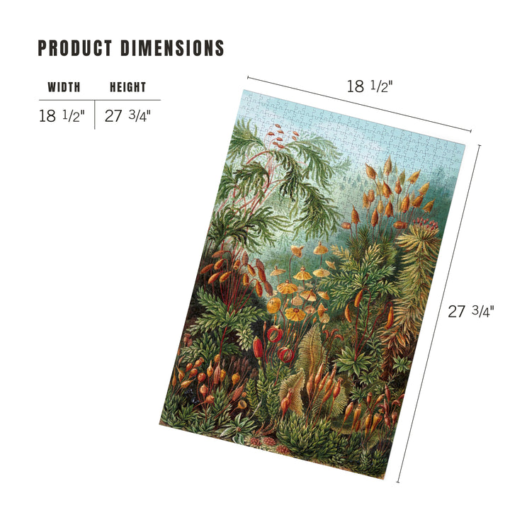 Ernst Haeckel, Muscinae, Jigsaw Puzzle Puzzle Lantern Press 