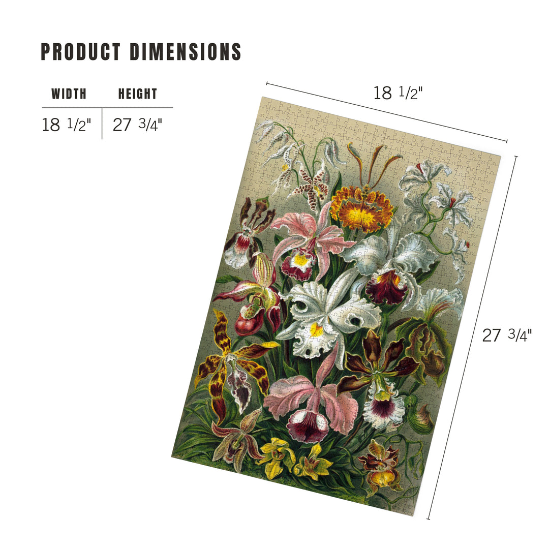 Ernst Haeckel, Orchidae, Jigsaw Puzzle Puzzle Lantern Press 