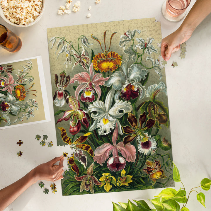 Ernst Haeckel, Orchidae, Jigsaw Puzzle Puzzle Lantern Press 