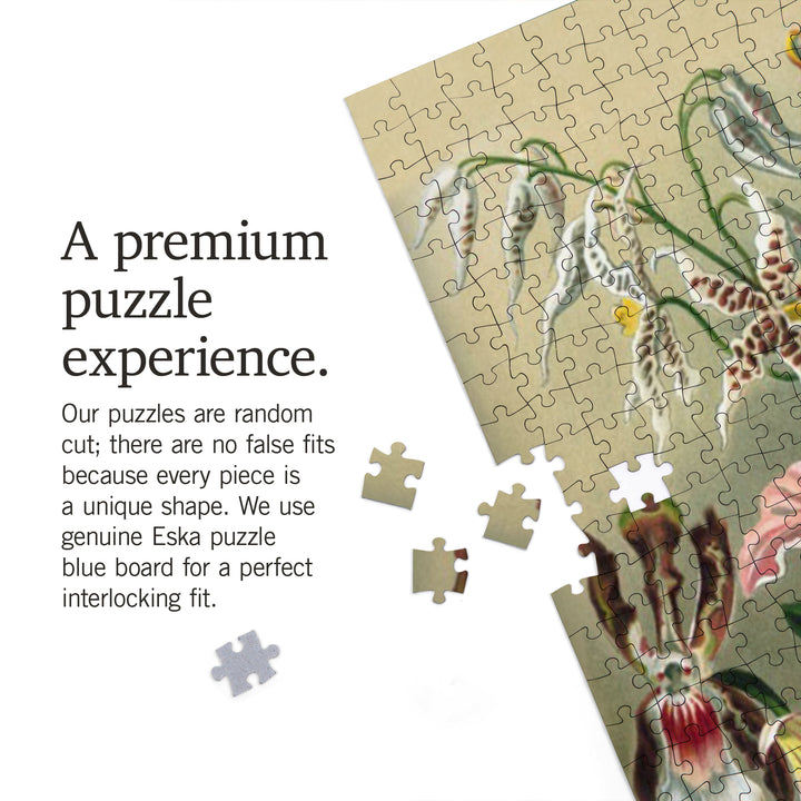 Ernst Haeckel, Orchidae, Jigsaw Puzzle Puzzle Lantern Press 