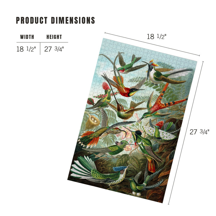 Ernst Haeckel, Trochilidae, Jigsaw Puzzle Puzzle Lantern Press 