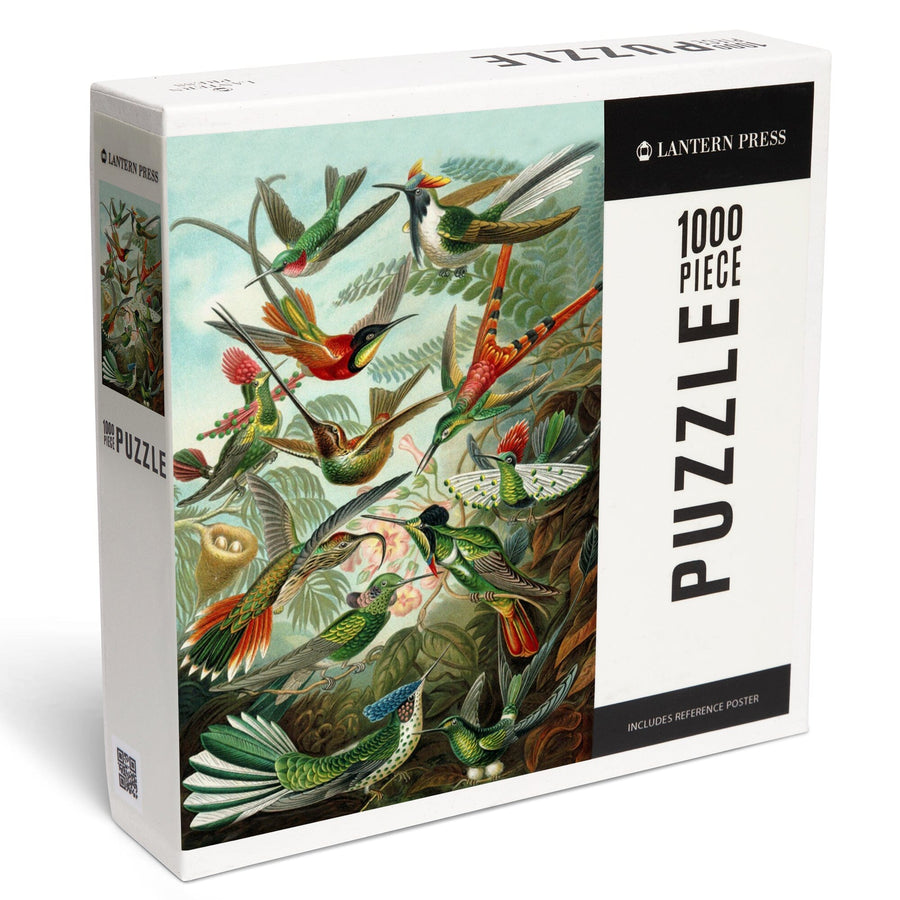 Ernst Haeckel, Trochilidae, Jigsaw Puzzle Puzzle Lantern Press 