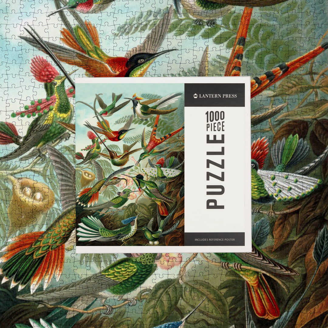 Ernst Haeckel, Trochilidae, Jigsaw Puzzle Puzzle Lantern Press 