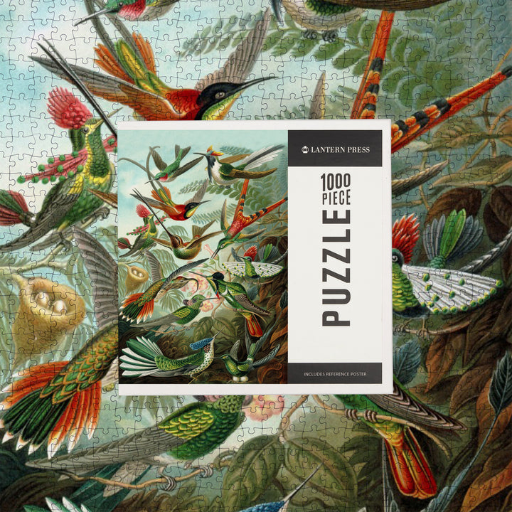 Ernst Haeckel, Trochilidae, Jigsaw Puzzle Puzzle Lantern Press 