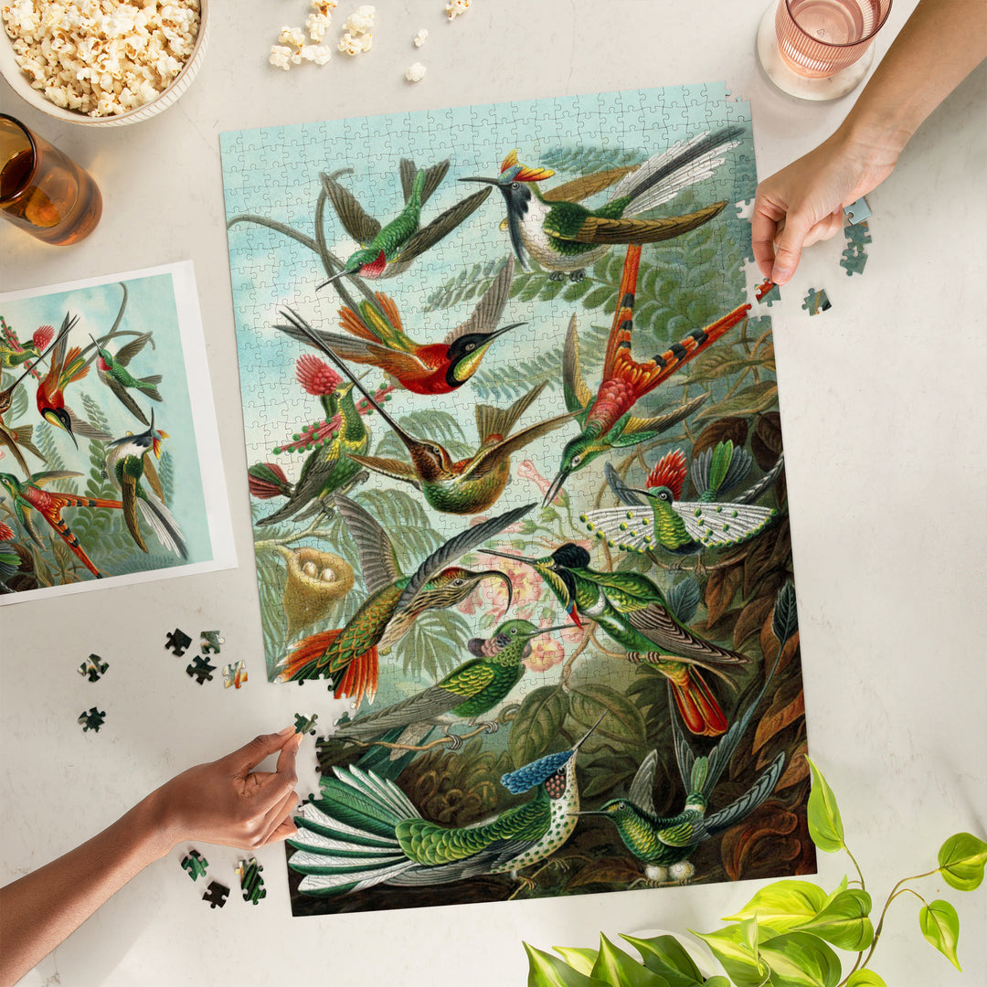 Ernst Haeckel, Trochilidae, Jigsaw Puzzle Puzzle Lantern Press 