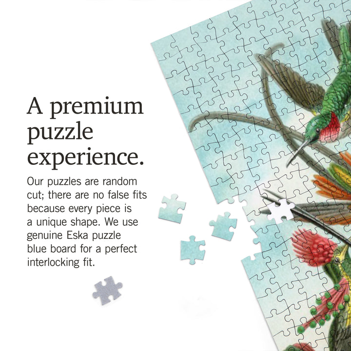 Ernst Haeckel, Trochilidae, Jigsaw Puzzle Puzzle Lantern Press 