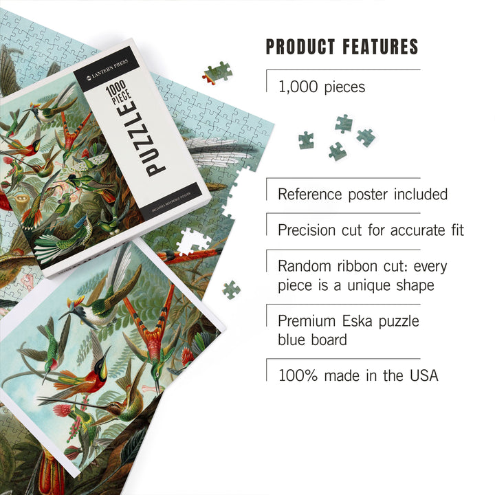 Ernst Haeckel, Trochilidae, Jigsaw Puzzle Puzzle Lantern Press 