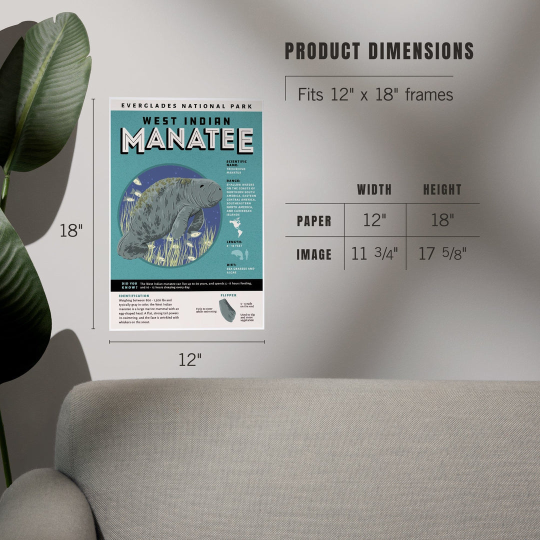 Everglades National Park, Facts About Manatees, Art & Giclee Prints Art Lantern Press 