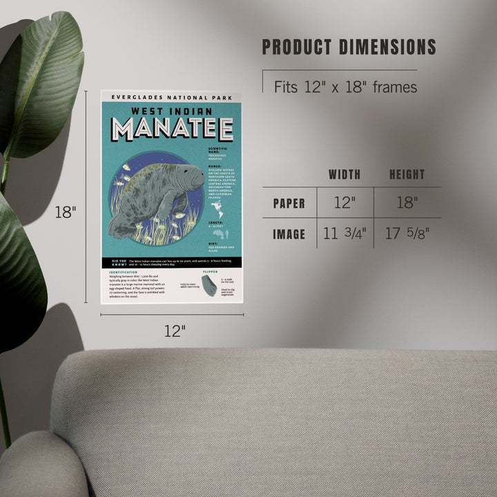 Everglades National Park, Facts About Manatees, Art & Giclee Prints Art Lantern Press 