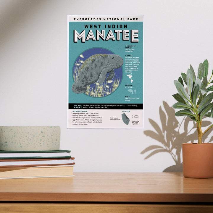 Everglades National Park, Facts About Manatees, Art & Giclee Prints Art Lantern Press 