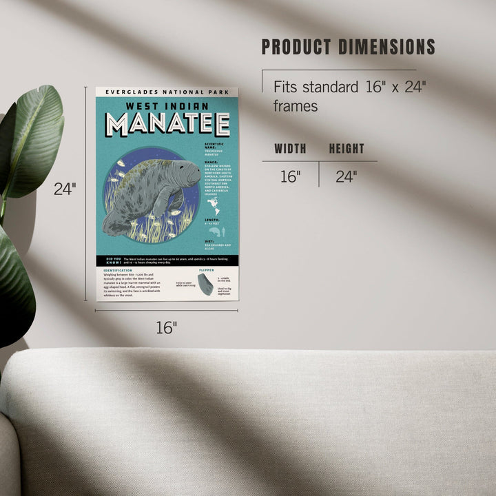 Everglades National Park, Facts About Manatees, Art & Giclee Prints Art Lantern Press 