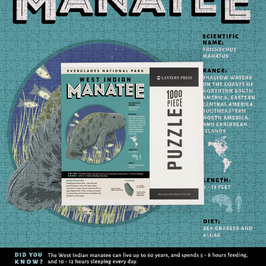 Everglades National Park, Facts About Manatees, Jigsaw Puzzle Puzzle Lantern Press 