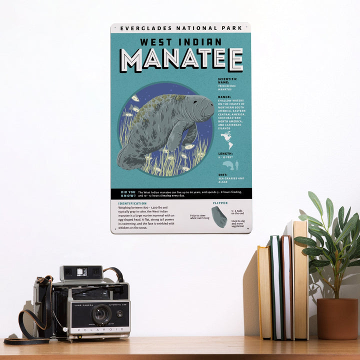 Everglades National Park, Facts About Manatees, Metal Signs Metal Lantern Press 
