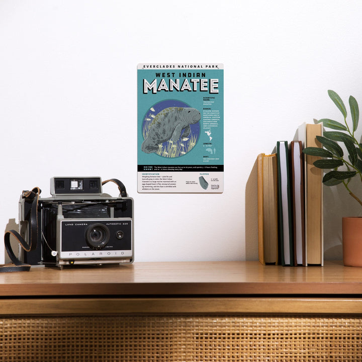 Everglades National Park, Facts About Manatees, Metal Signs Metal Lantern Press 
