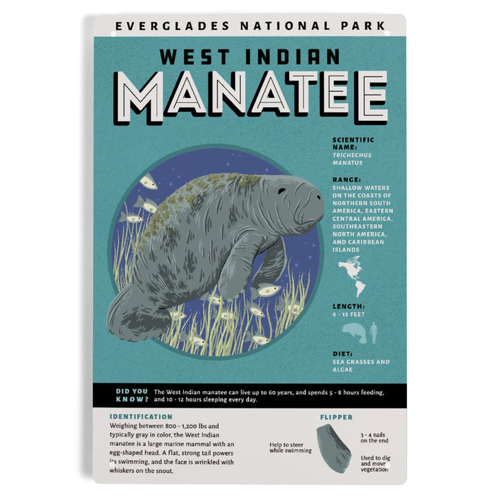 Everglades National Park, Facts About Manatees, Metal Signs Metal Lantern Press 