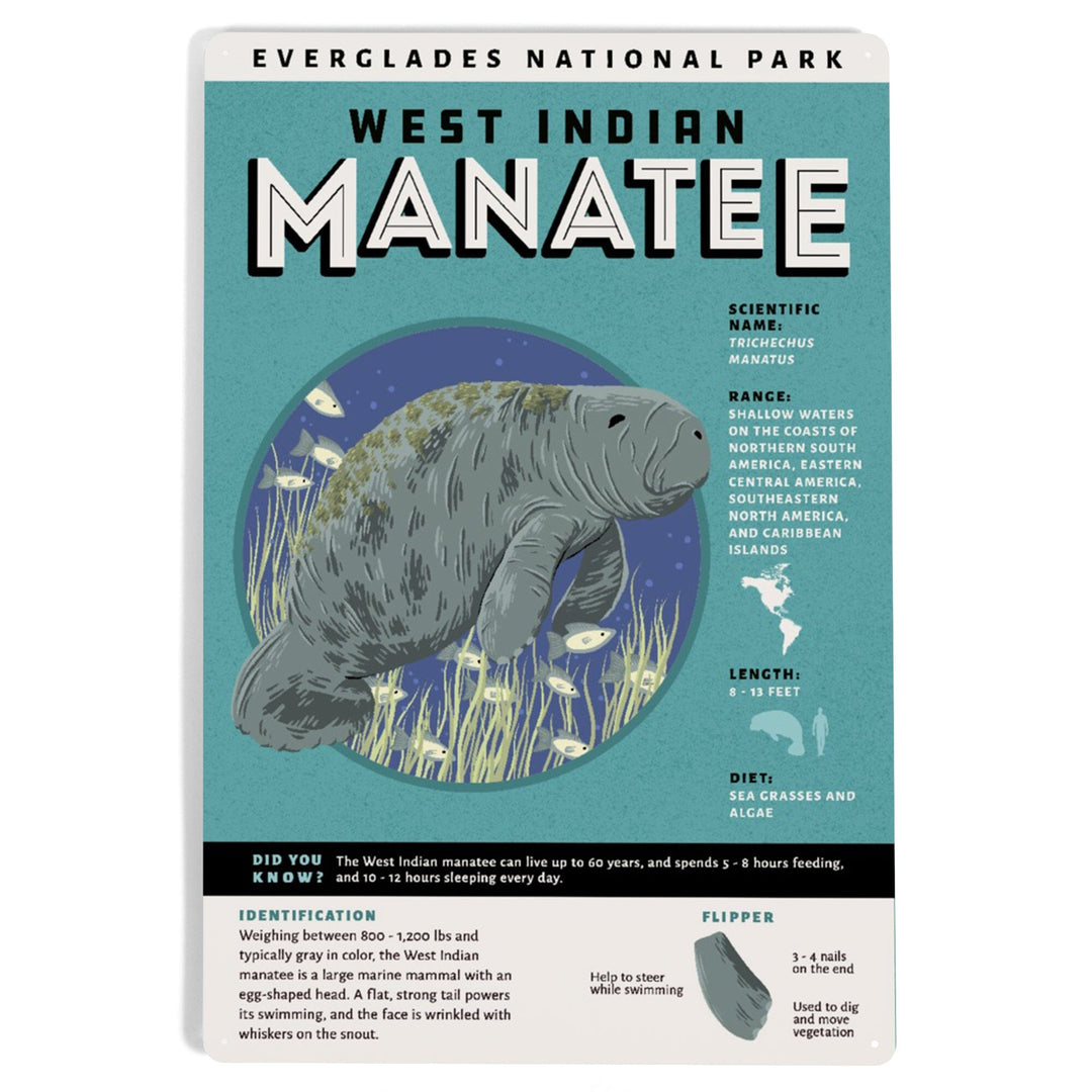 Everglades National Park, Facts About Manatees, Metal Signs Metal Lantern Press 
