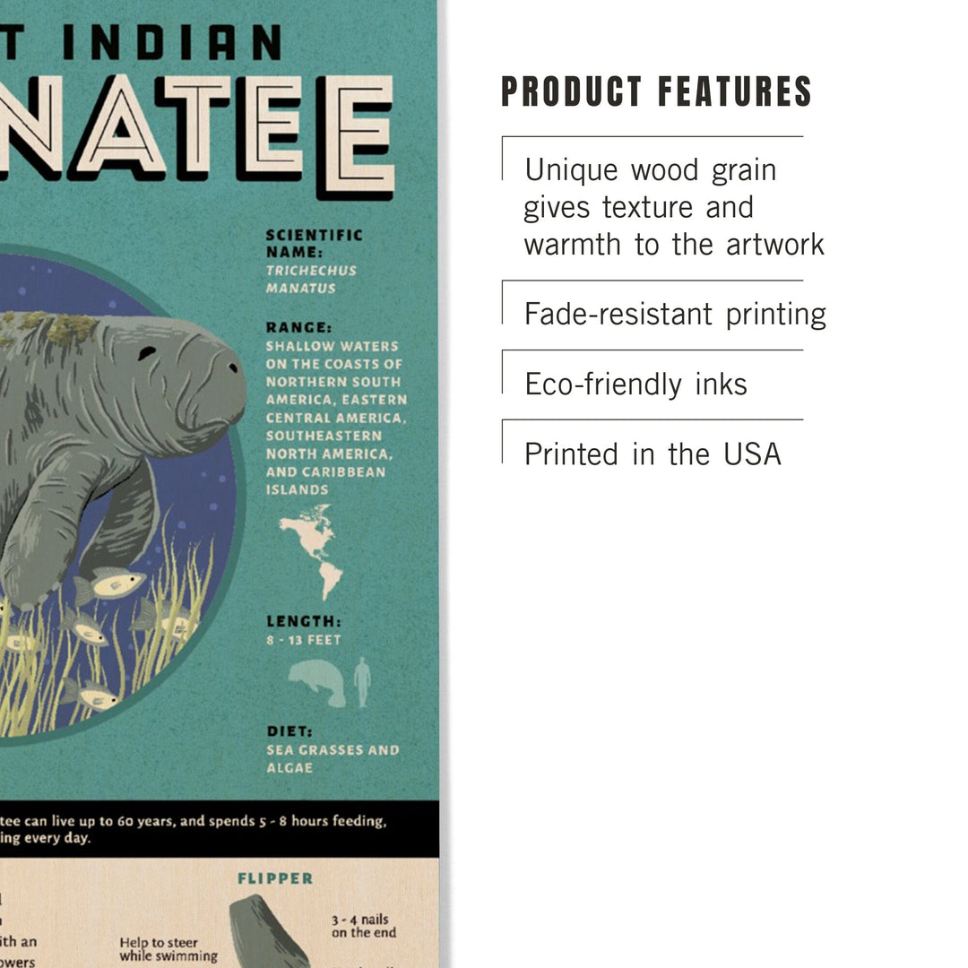 Everglades National Park, Facts About Manatees, Wood Signs and Postcards Wood Lantern Press 