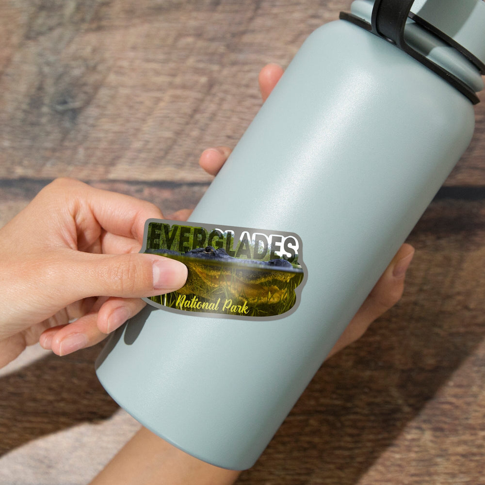 Everglades National Park, Florida, Alligator Underwater, Contour, Photography, Vinyl Sticker - Lantern Press