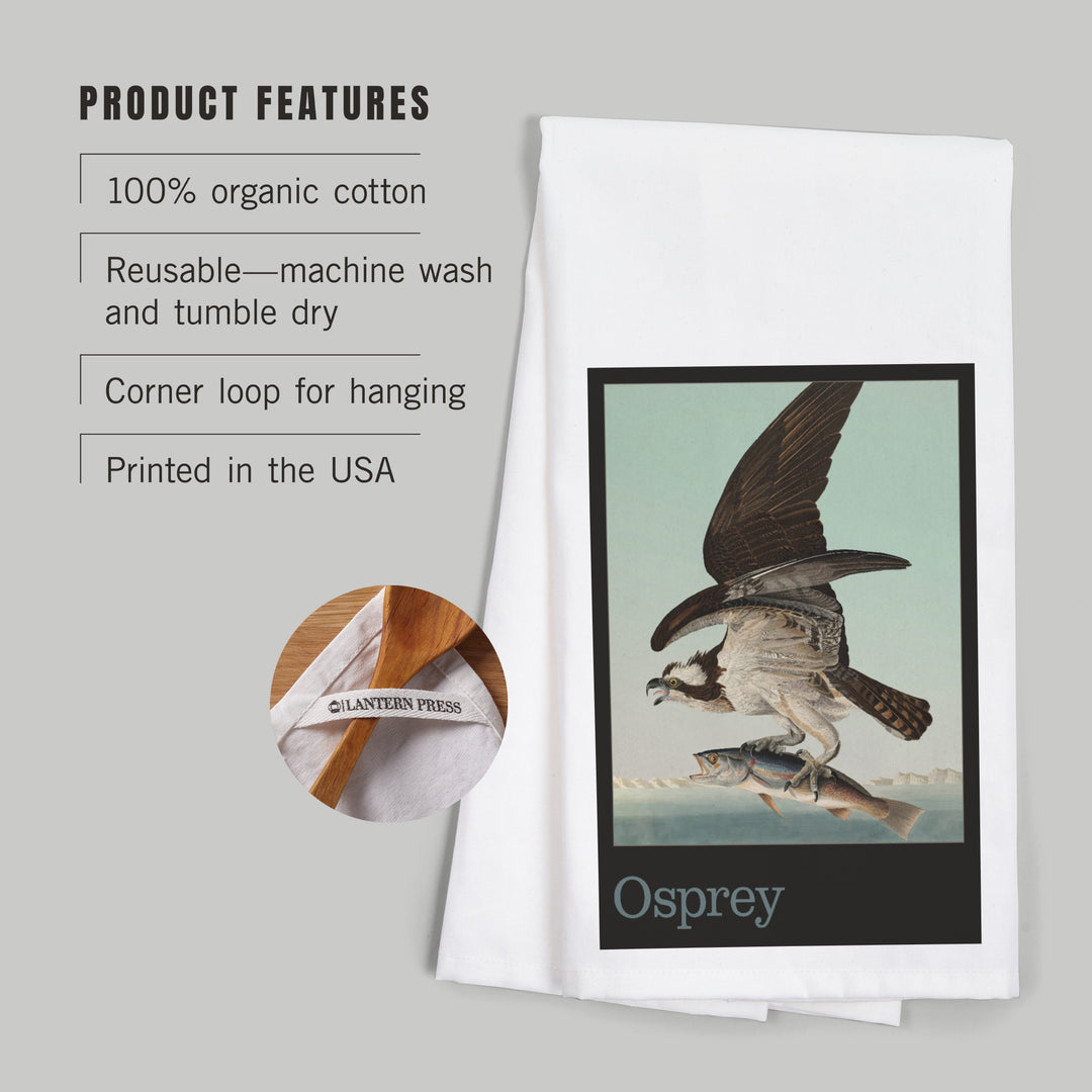 Audubon Birds of North America, Osprey, Organic Cotton Kitchen Tea Towels