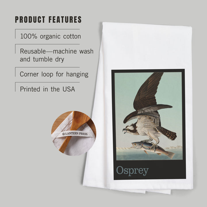 Audubon Birds of North America, Osprey, Organic Cotton Kitchen Tea Towels